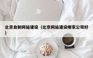 诸城北京自制网站建设（北京网站建设哪家公司好）